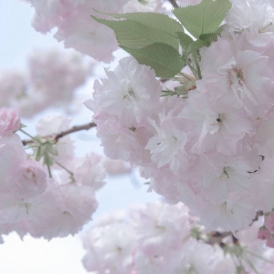 六合FurryQQ群介绍